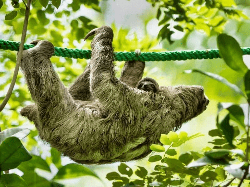 How Exposing Children to the Outdoors Could Improve Health Outcomes