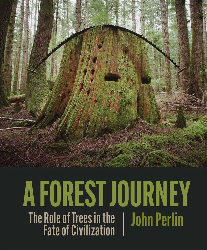 This week, we’re sharing a book recommendation from Executive Director Beck Mordini
