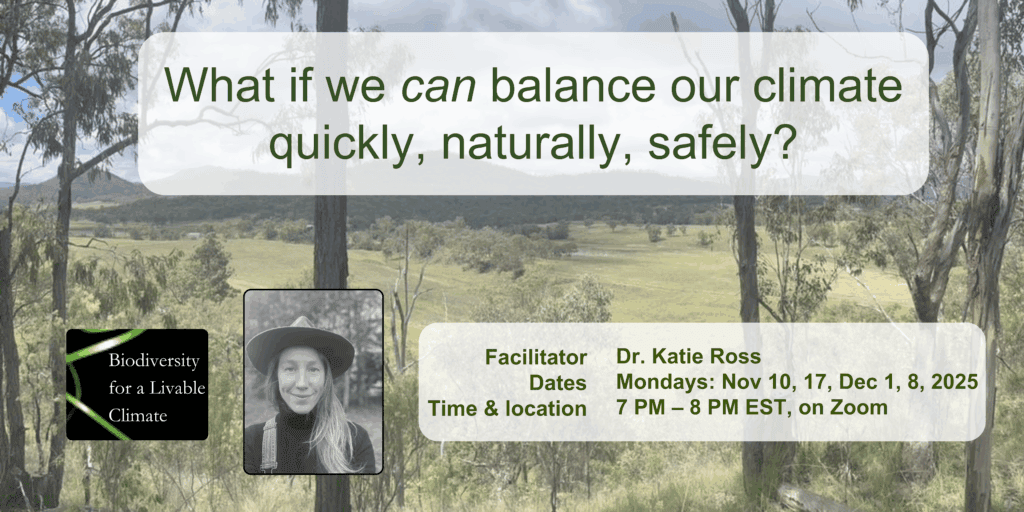 Balancing Our Climate
