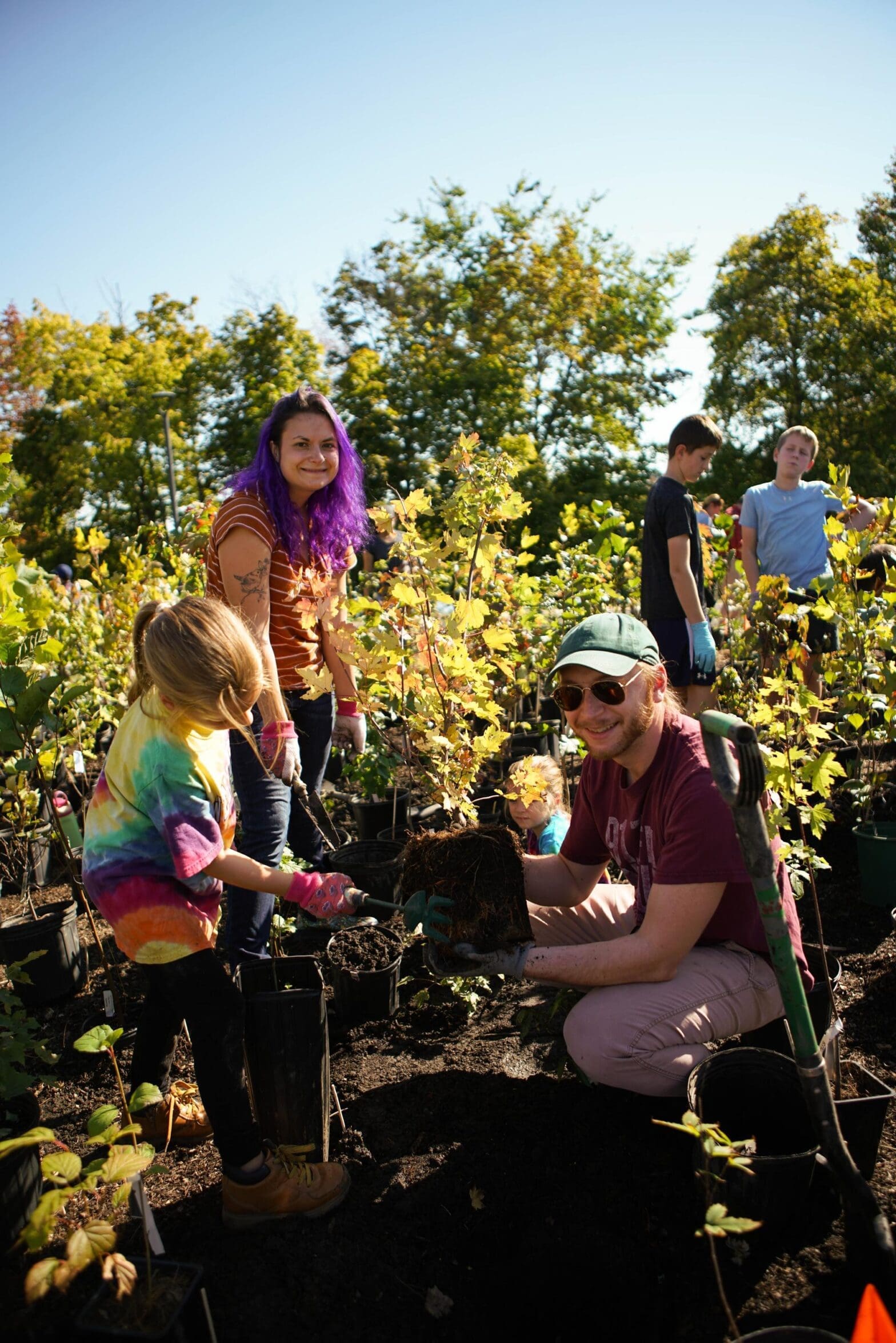 From Local Roots to Growing Movement: Bio4Climate Announces 2nd Annual Northeast Miniforest Summit