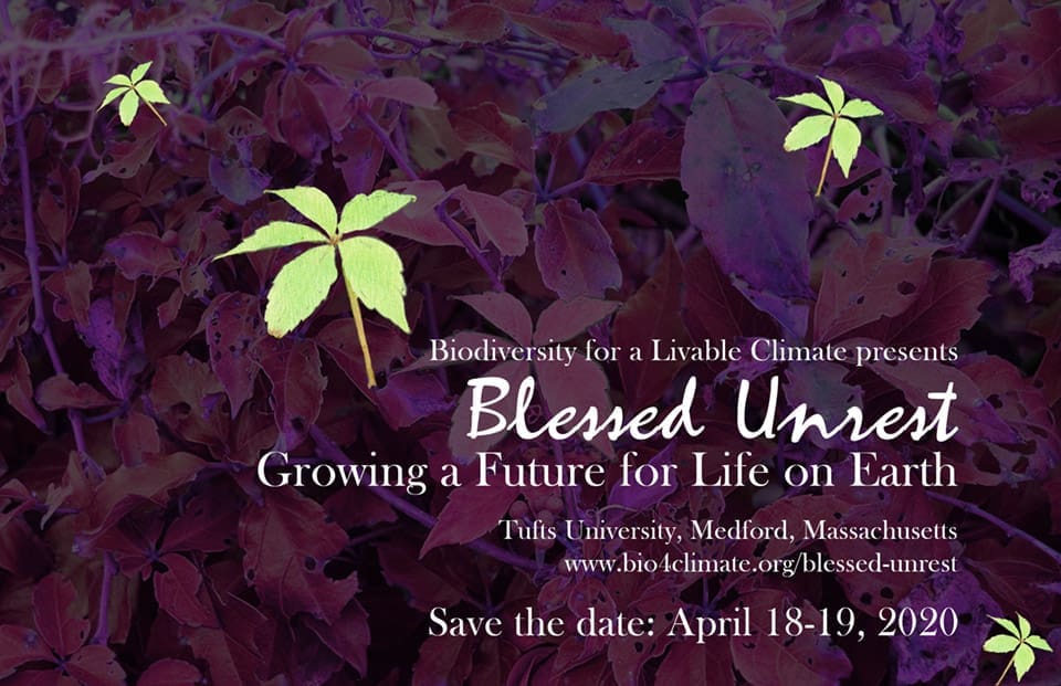 Blessed Unrest: Growing a Future for&nbsp;Life&nbsp;on&nbsp;Earth
