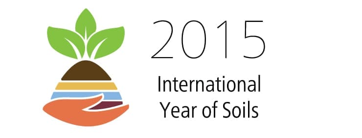 FAO LOGO_IYS_en