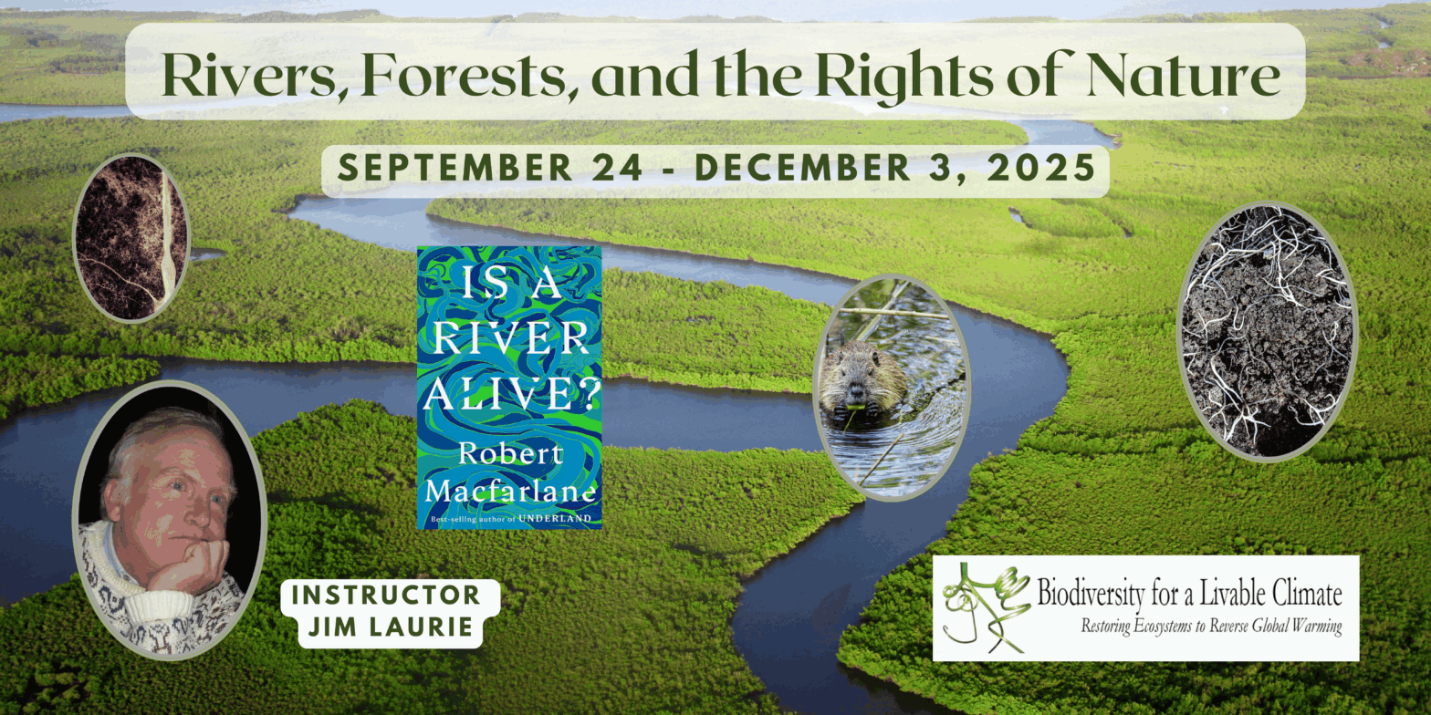 Biodiversity 13: Rivers, Forests, and the Rights of Nature