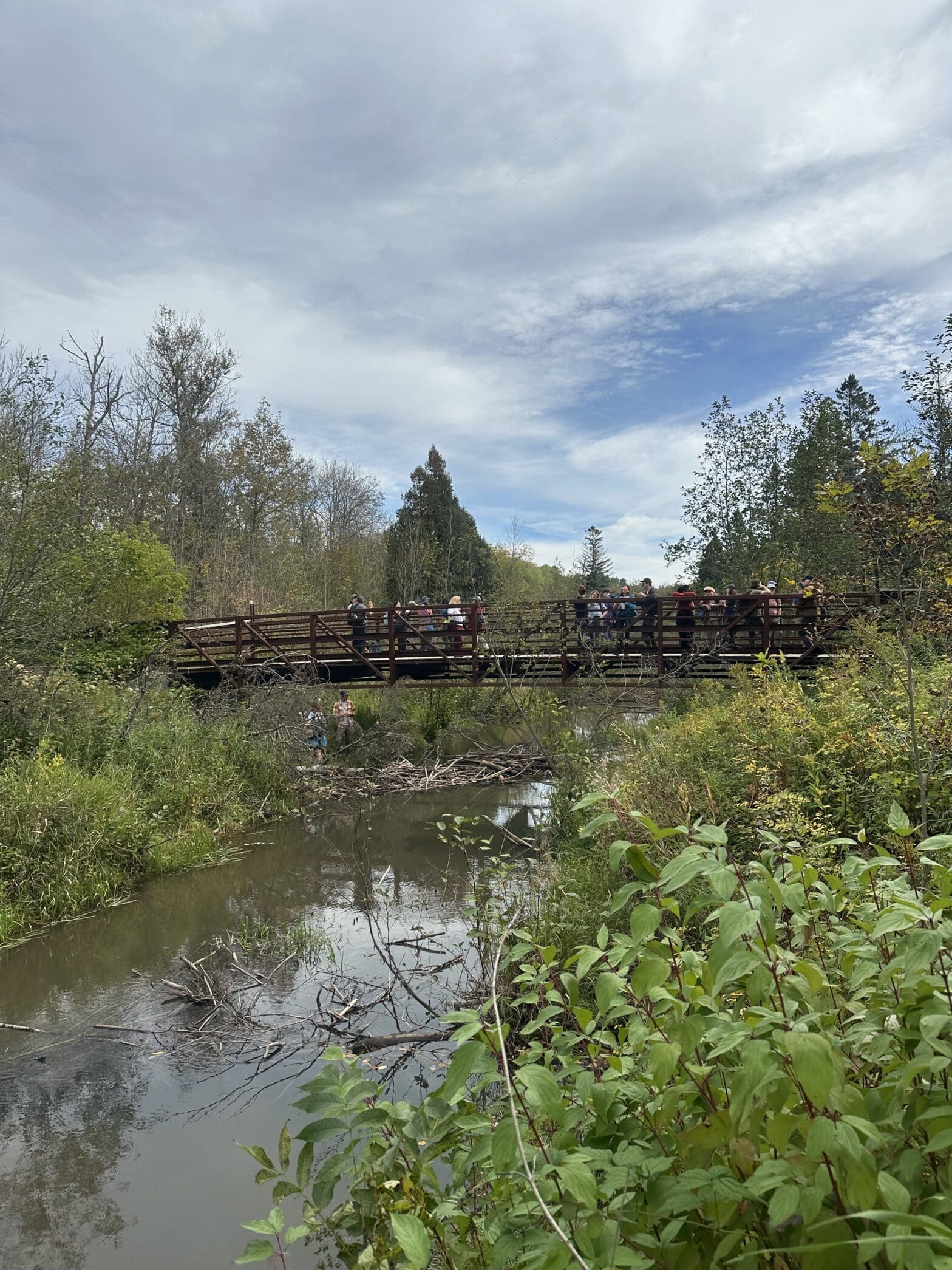 Bio4Climate at BeaverCON 2026: From Exploring Beaver-Excavated Canals to a Presentation on Planting Beaver Food