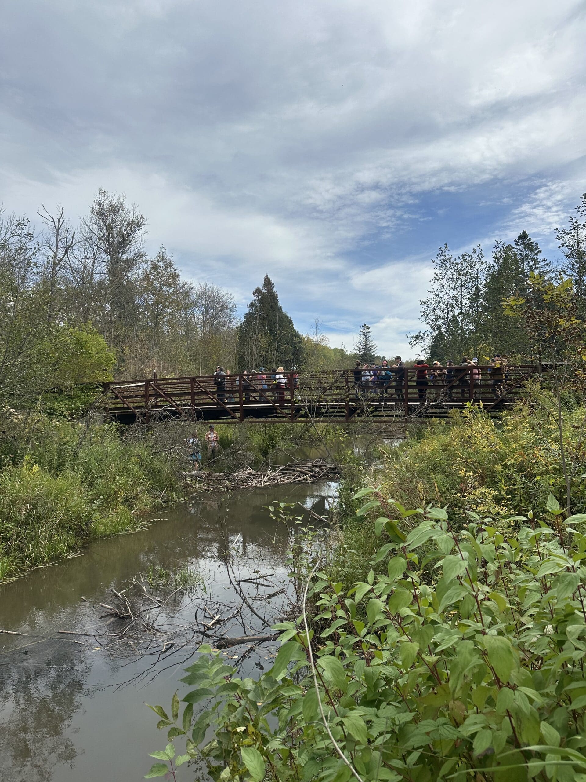 Bio4Climate at BeaverCON 2026: From Exploring Beaver-Excavated Canals to a Presentation on Planting Beaver Food