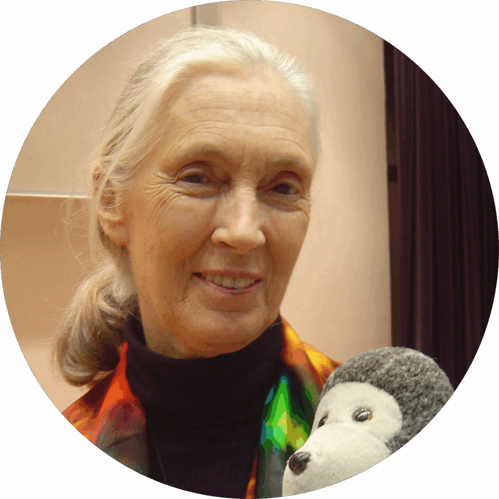 Jane Goodall, primatologist and conservationist