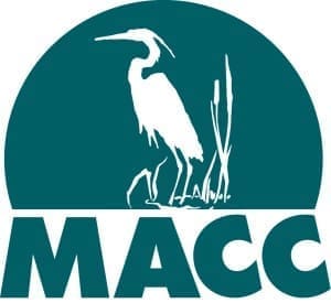 MACCTeal