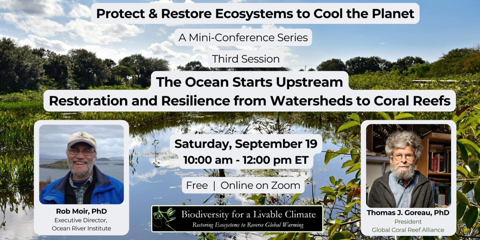 Bio4Climate Mini Conference | The Ocean Starts Upstream
