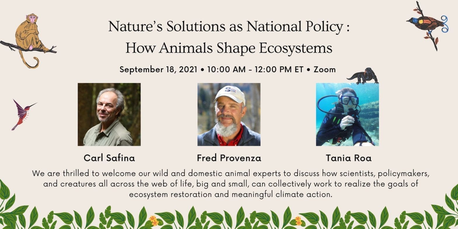Nature’s Solutions as National Policy: How Animals Shape Ecosystems