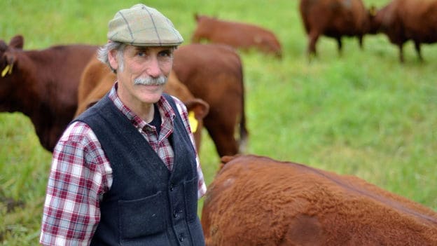 The Environmental Benefits of Grass Fed Beef