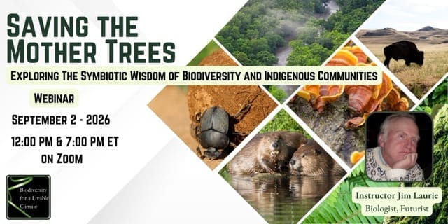 Registration for Webinar : Saving the Mother Trees