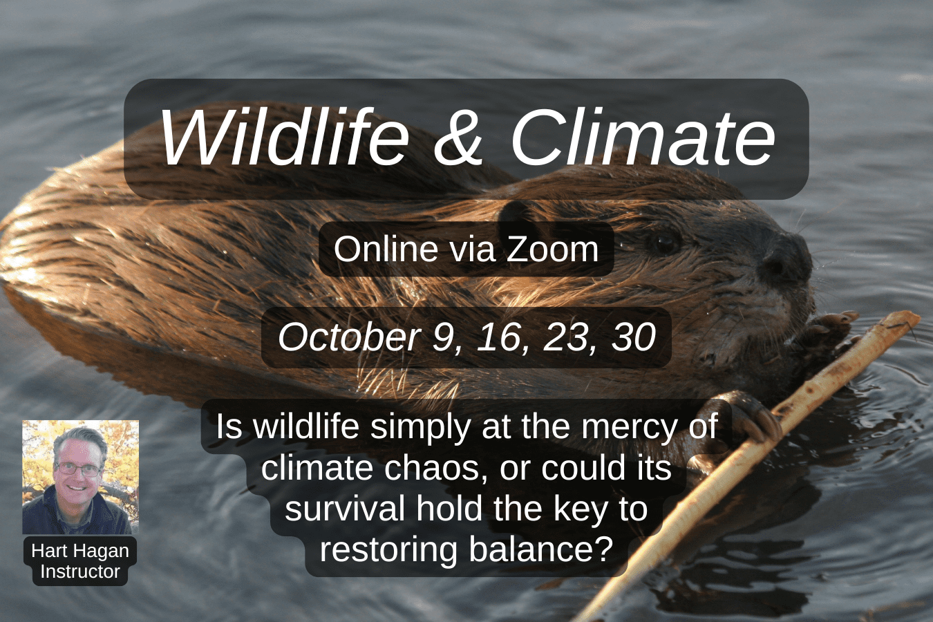 Wildlife and Climate