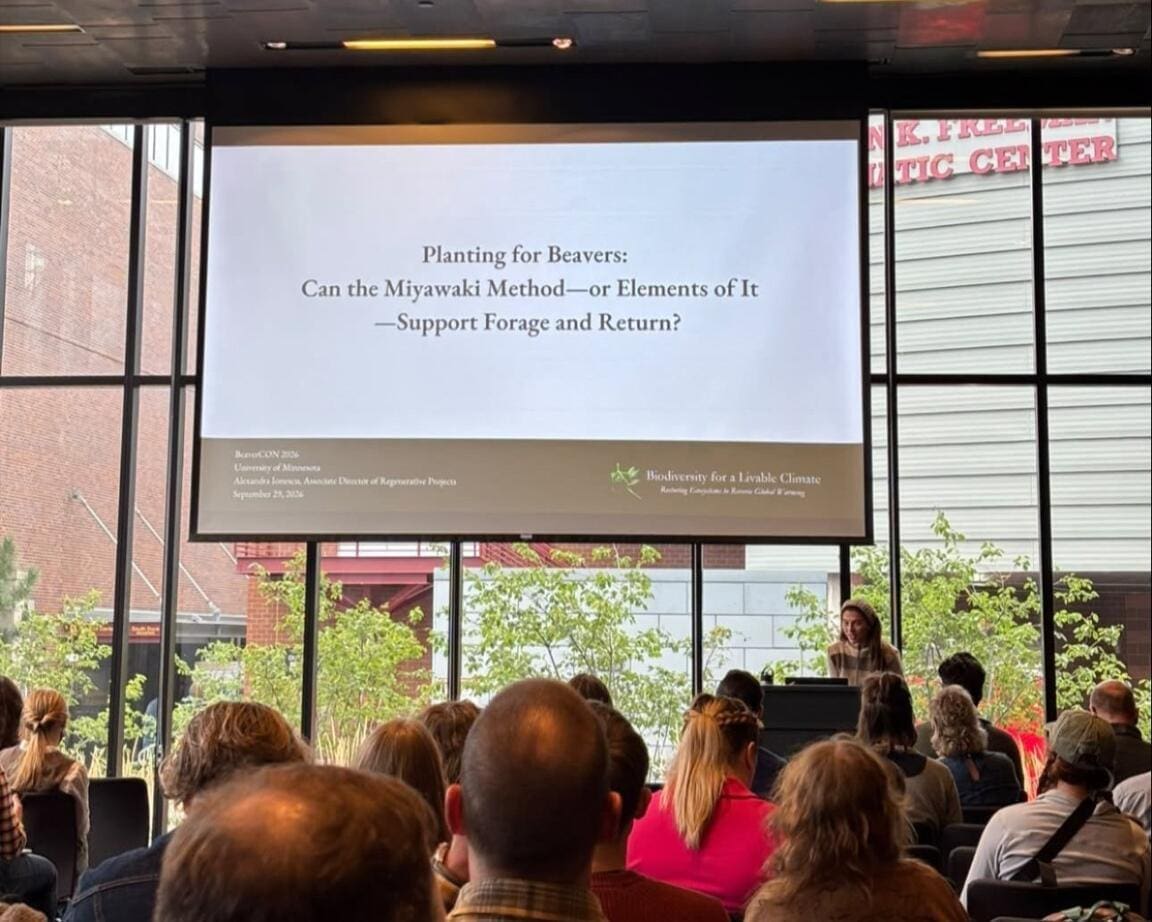 Bio4Climate at BeaverCON 2026: From Exploring Beaver-Excavated Canals to a Presentation on Planting Beaver Food