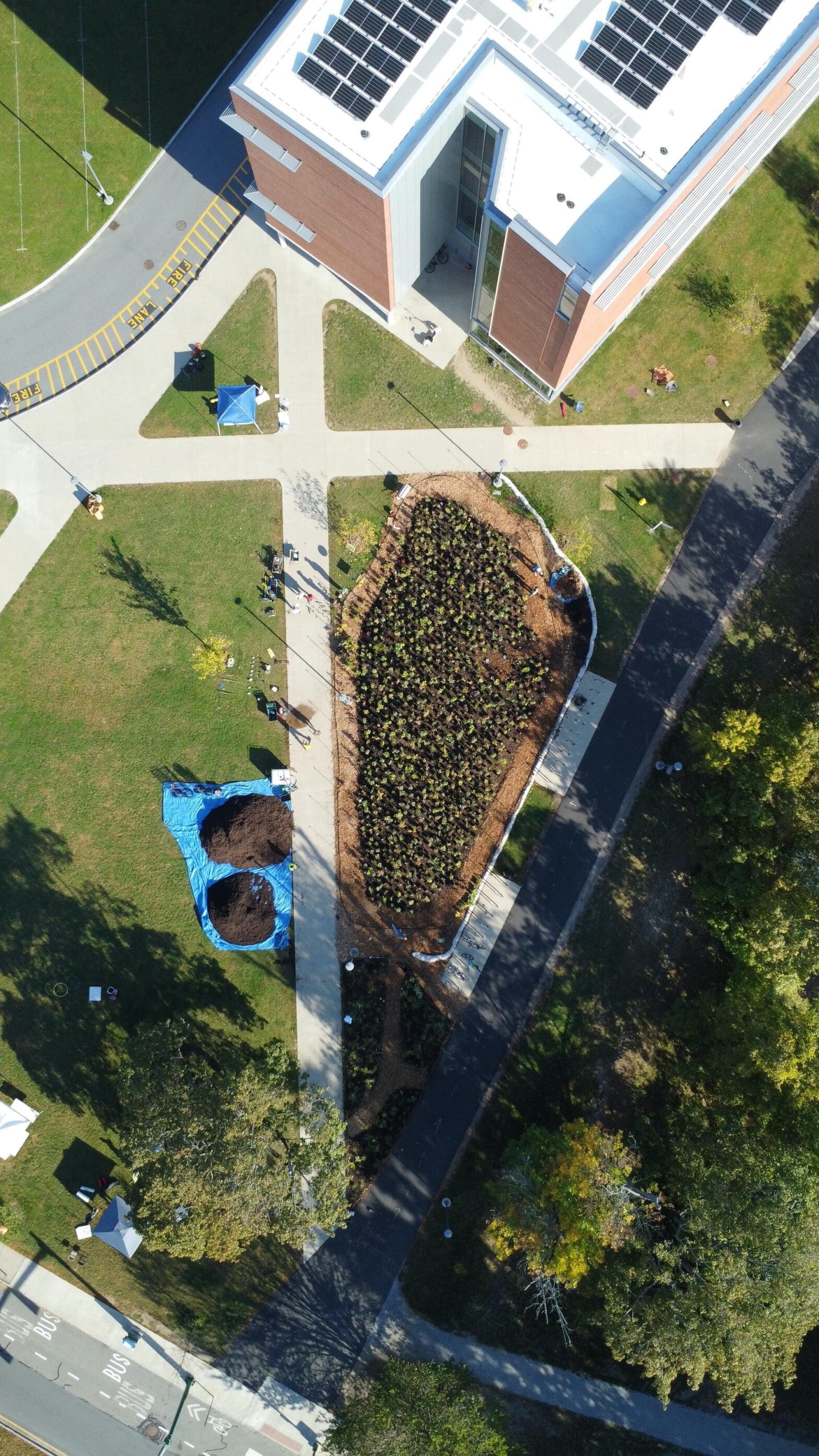 Belmont, Mass. | Belmont High School Miniforest