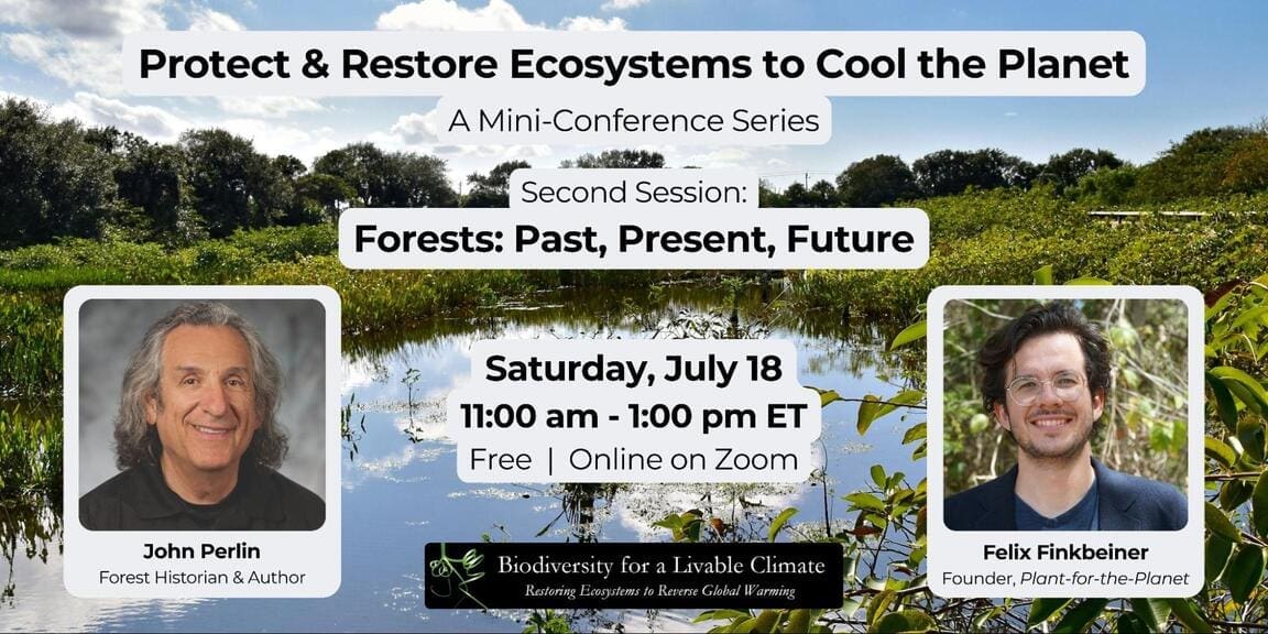 Cheat Codes to Combat Climate Crisis Hidden in Ancient Forest History