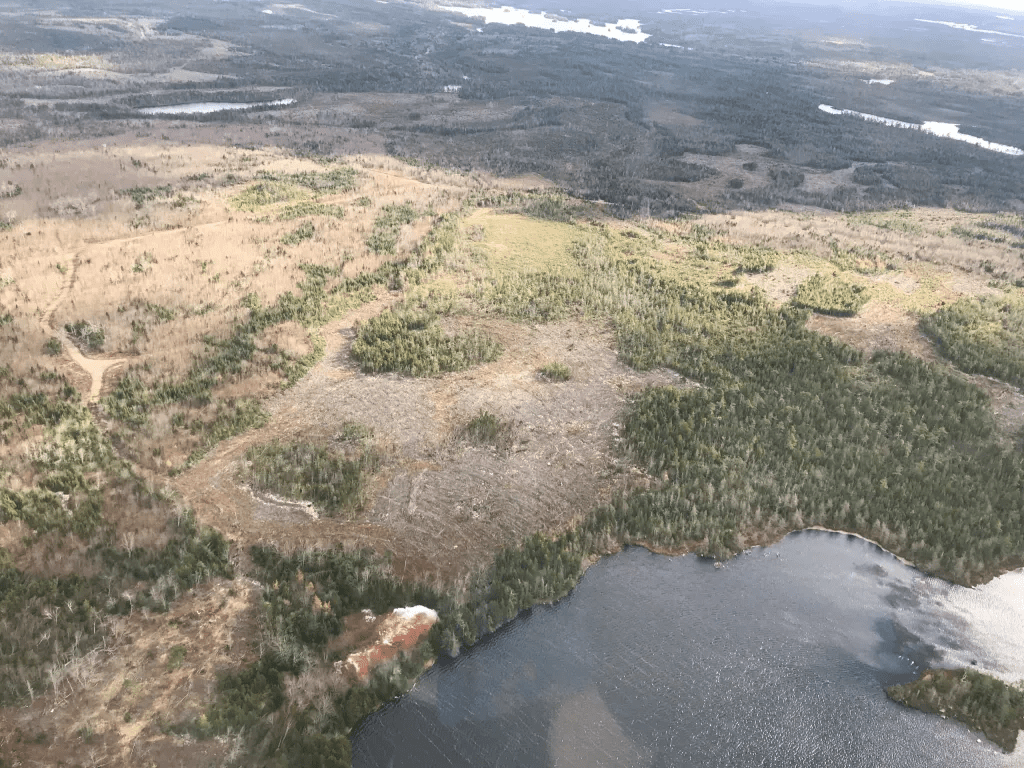 The NS wildfires are not ‘natural’ disasters: climate change, forest management, and human folly are all to blame The NS wildfires are not ‘natural’ disasters: climate change, forest management, and human folly are all to blame