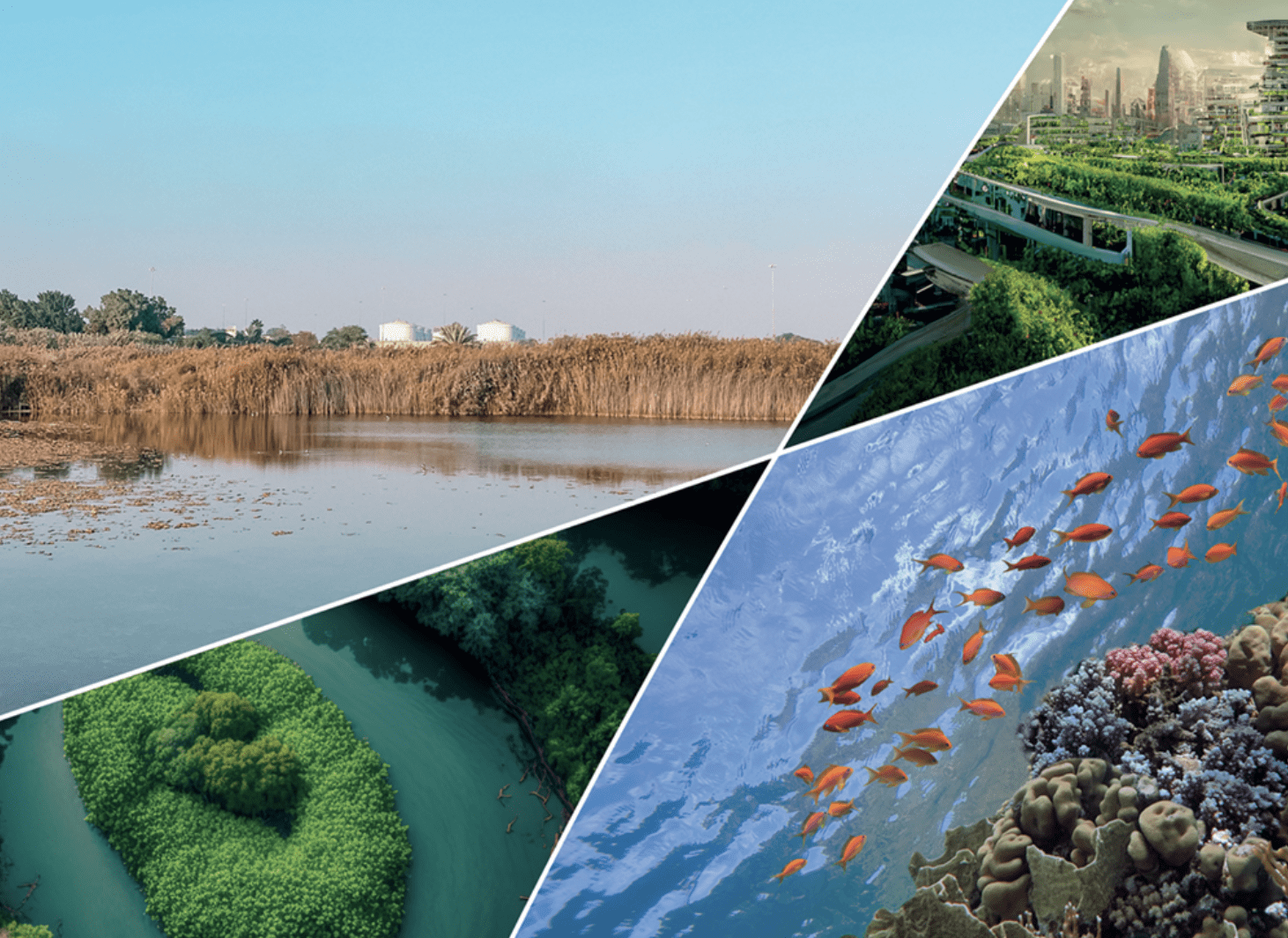 Applying Nature-Based Solutions to Promote Multi-species Justice