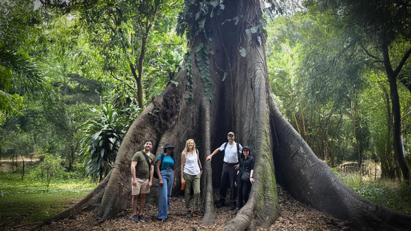 Heavy Deforestation in Africa Triggers Massive Biomass Loss