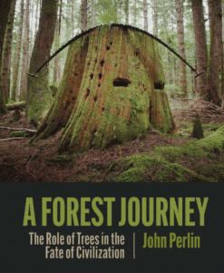 A Forest Journey: The Role of Trees in the Fate of Civilization, by John Perlin