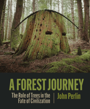 A Forest Journey: The Role of Trees in the Fate of Civilization, by John Perlin