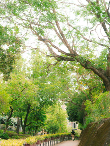 Beyond Tree Cover: Vertical Canopy Structure Is Associated with the Cooling Impact of Pocket Parks in Mediterranean Cities