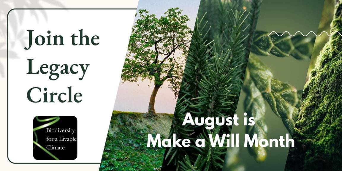 August Is National Make-A-Will Month