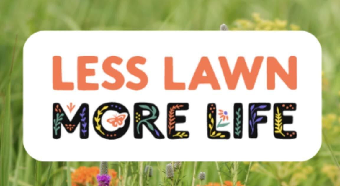 Less Lawn More Life Spring Challenge