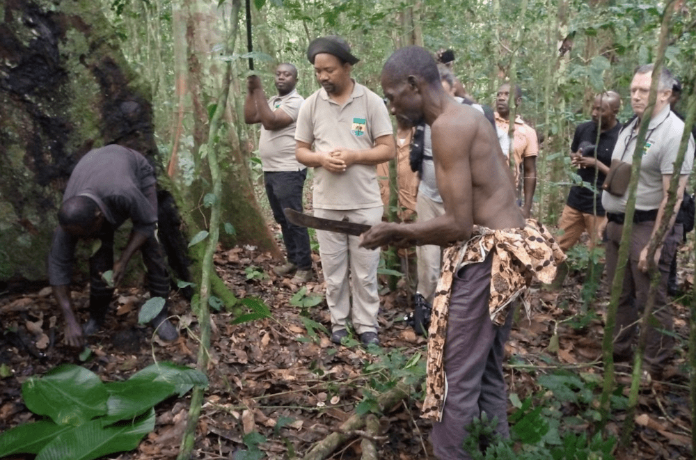 How an Indigenous Community Defended its Ancestral forest from Logging