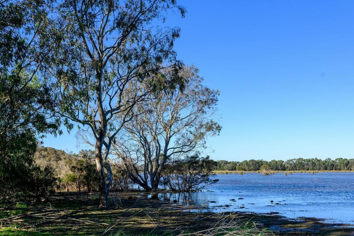 Water as Ecosystem Infrastructure in Australia