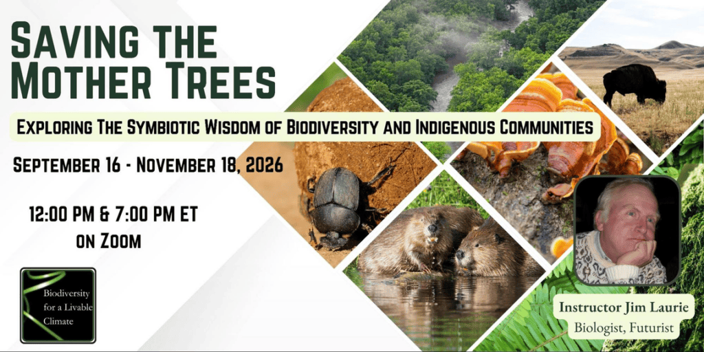 Saving the Mother Trees course graphic with photos of a forested river, fungi, a bison, and a beaver pair, featuring instructor Jim Laurie