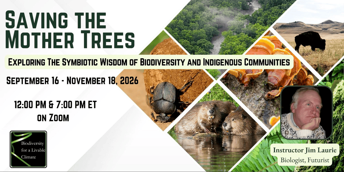 Biodiversity 15: Saving the Mother Trees Biodiversity 15: Saving the Mother Trees