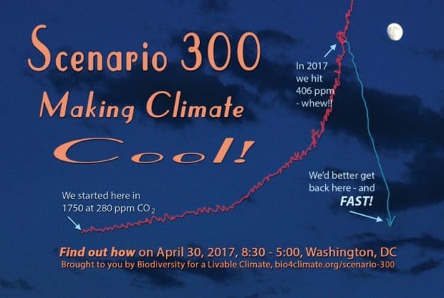Scenario 300: Making Climate Cool!