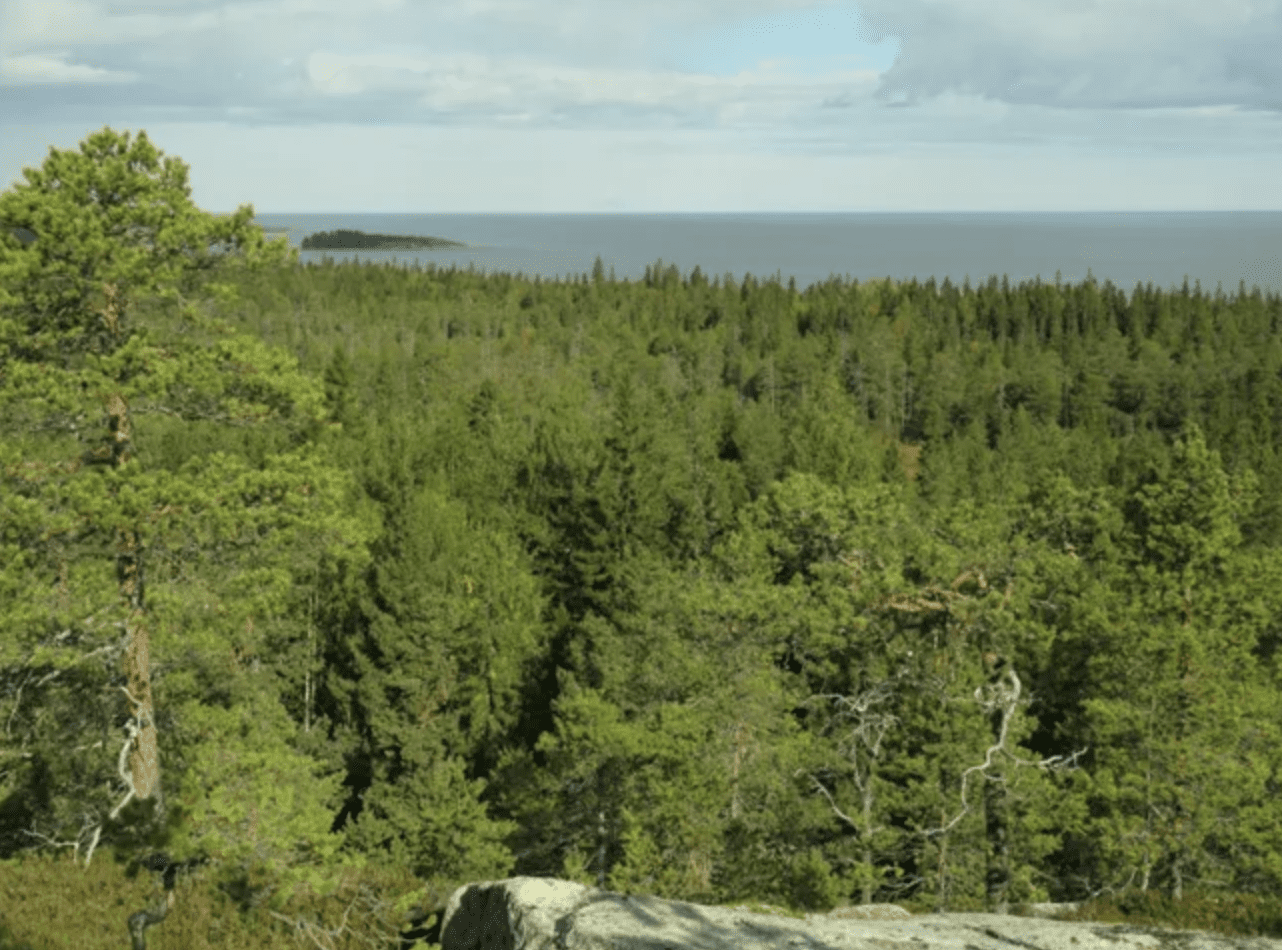 Sharing Land With Trees: An Essay on Global Climatic Implications of Forest-Human Coexistence