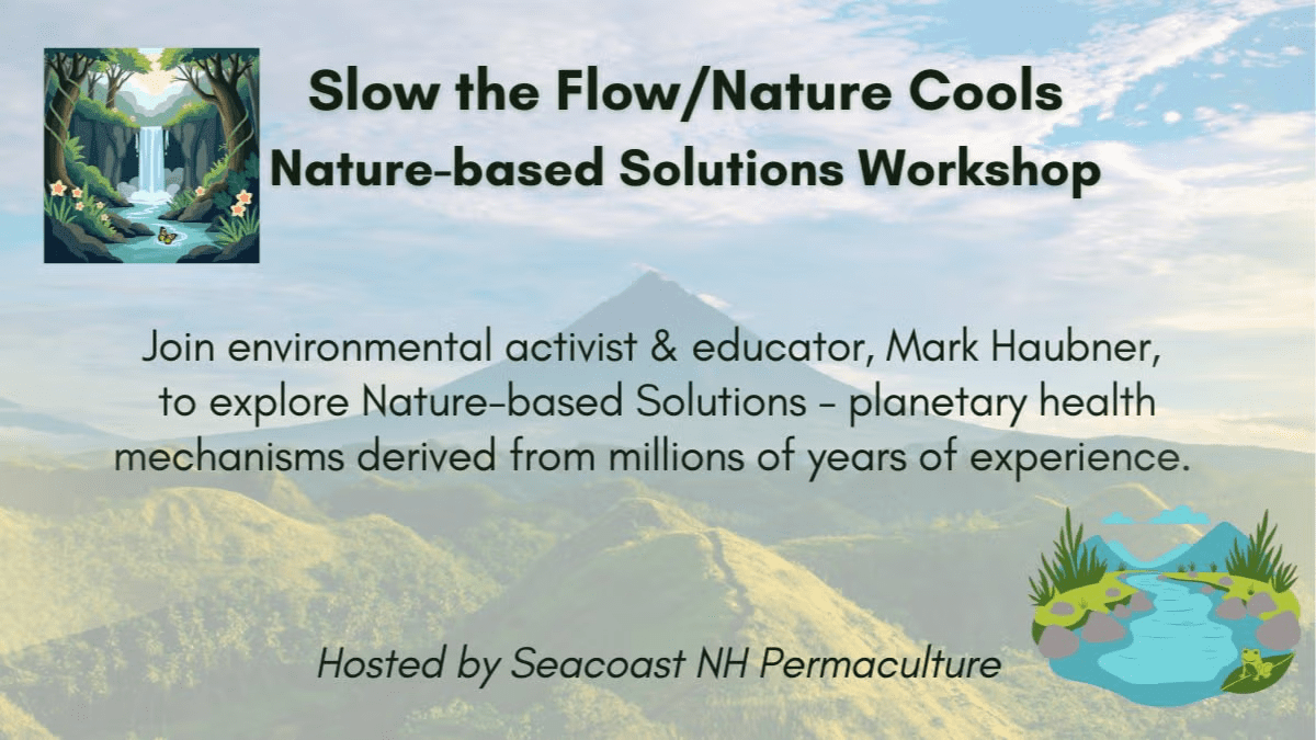 Floating Wetland Webinar with Water Stories