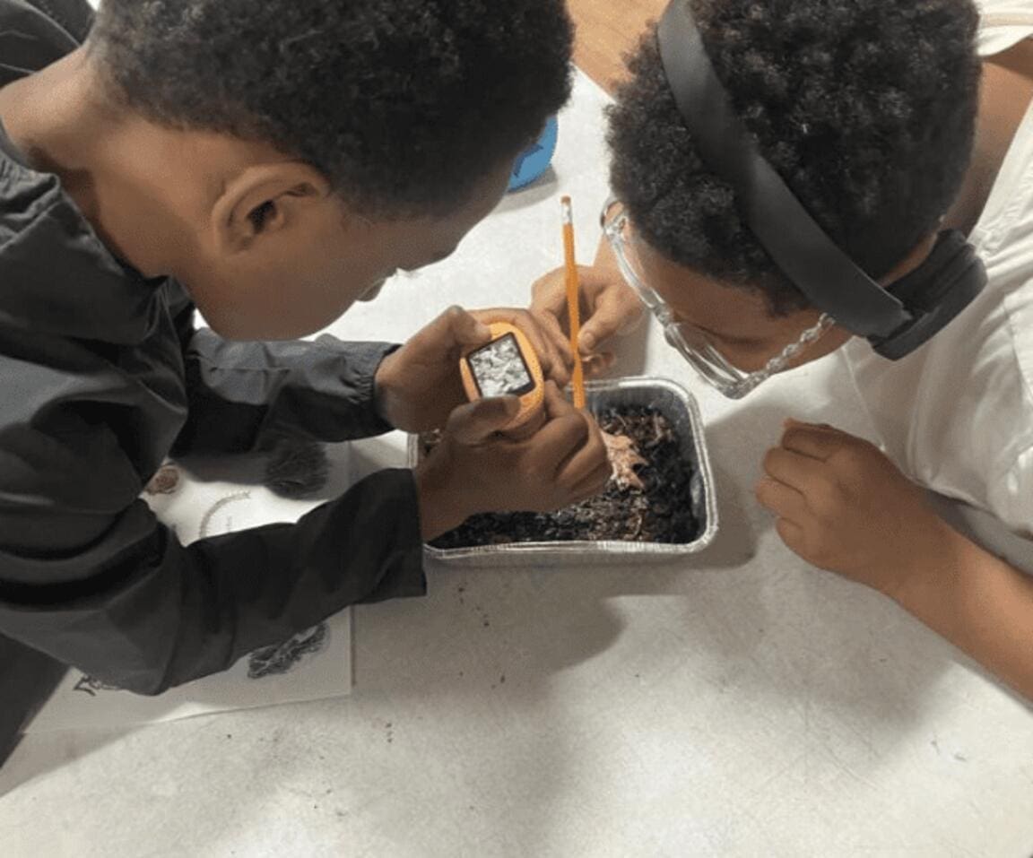 Soil to Sky Curriculum Brings Biodiversity Learning to Cambridge Students