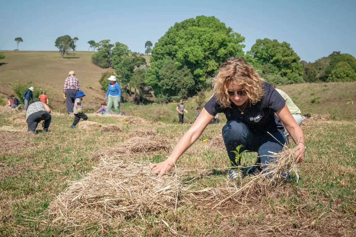 Is Nature Restoration More Effective When It’s Community-Led?