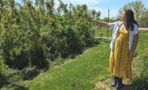 The Miyawaki Movement: Tiny Forests Sow Possibility and Cultivate Resilient Communities