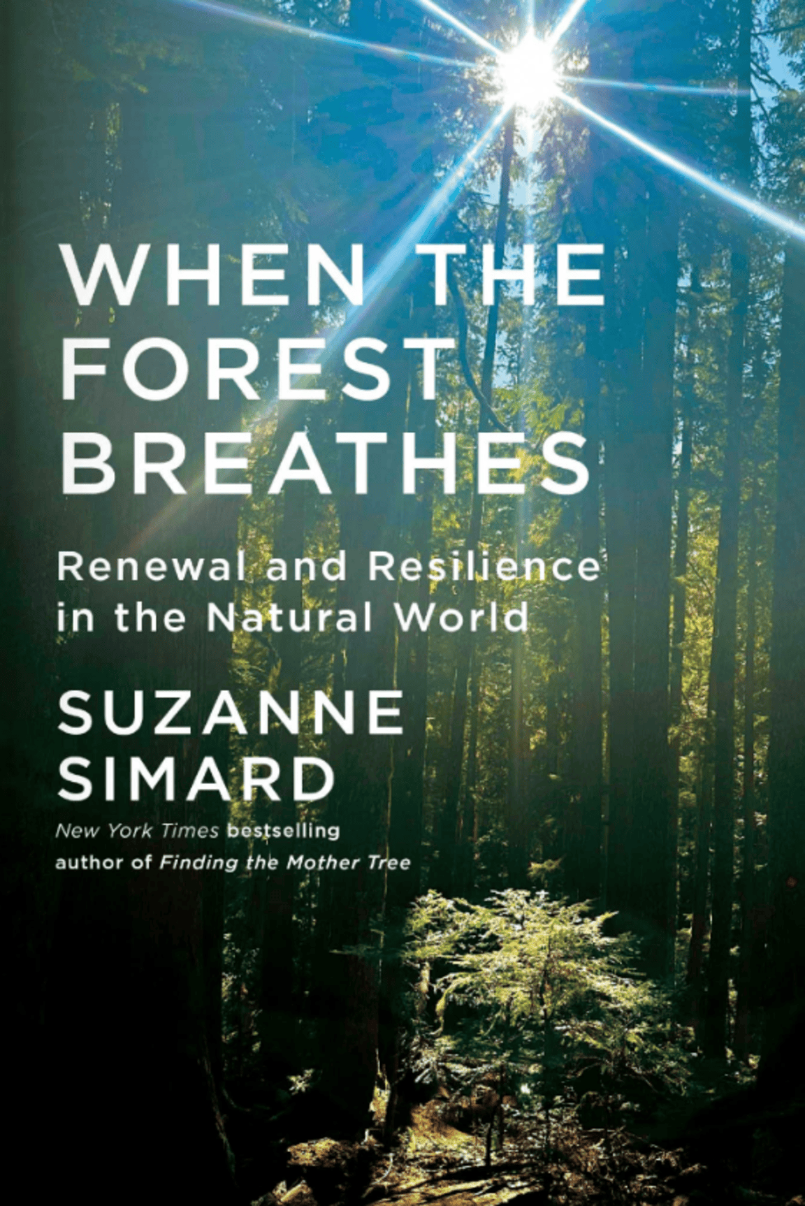 If you enjoyed Suzanne Simard’s Finding the Mother Tree, you’ll love her…