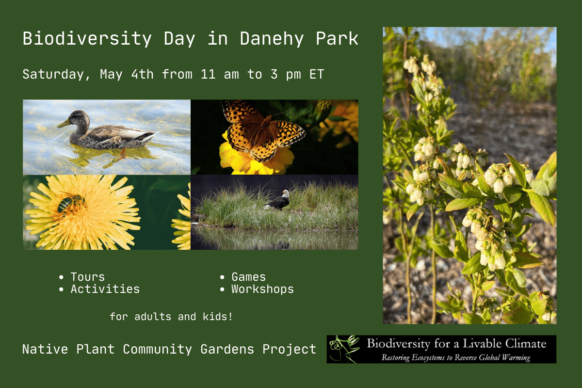 Biodiversity Day in Danehy Park – Saturday, May 4 2024