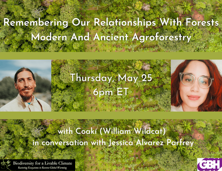 Remembering Our Relationships With Forests – Thursday May 25