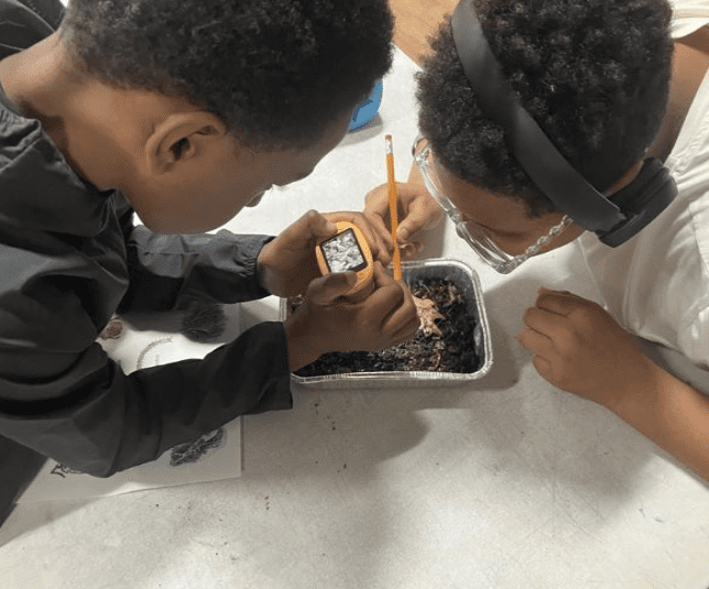 Soil to Sky Program Brings Biodiversity-Based Climate Learning to Cambridge Students