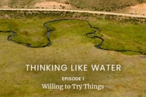 Thinking Like Water Episode 1: “Willing to Try Things”