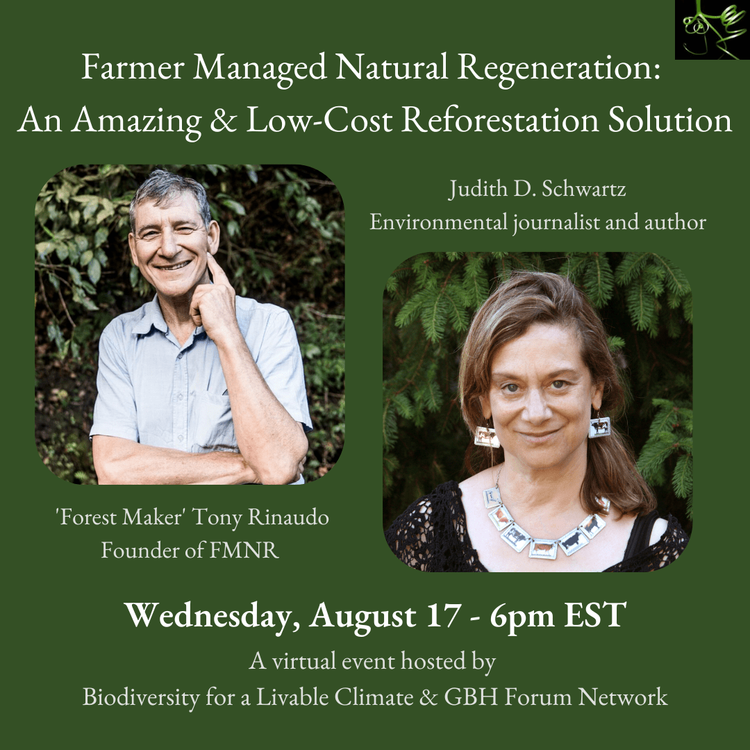 Reforestation Solution: Farmer Managed Natural Regeneration