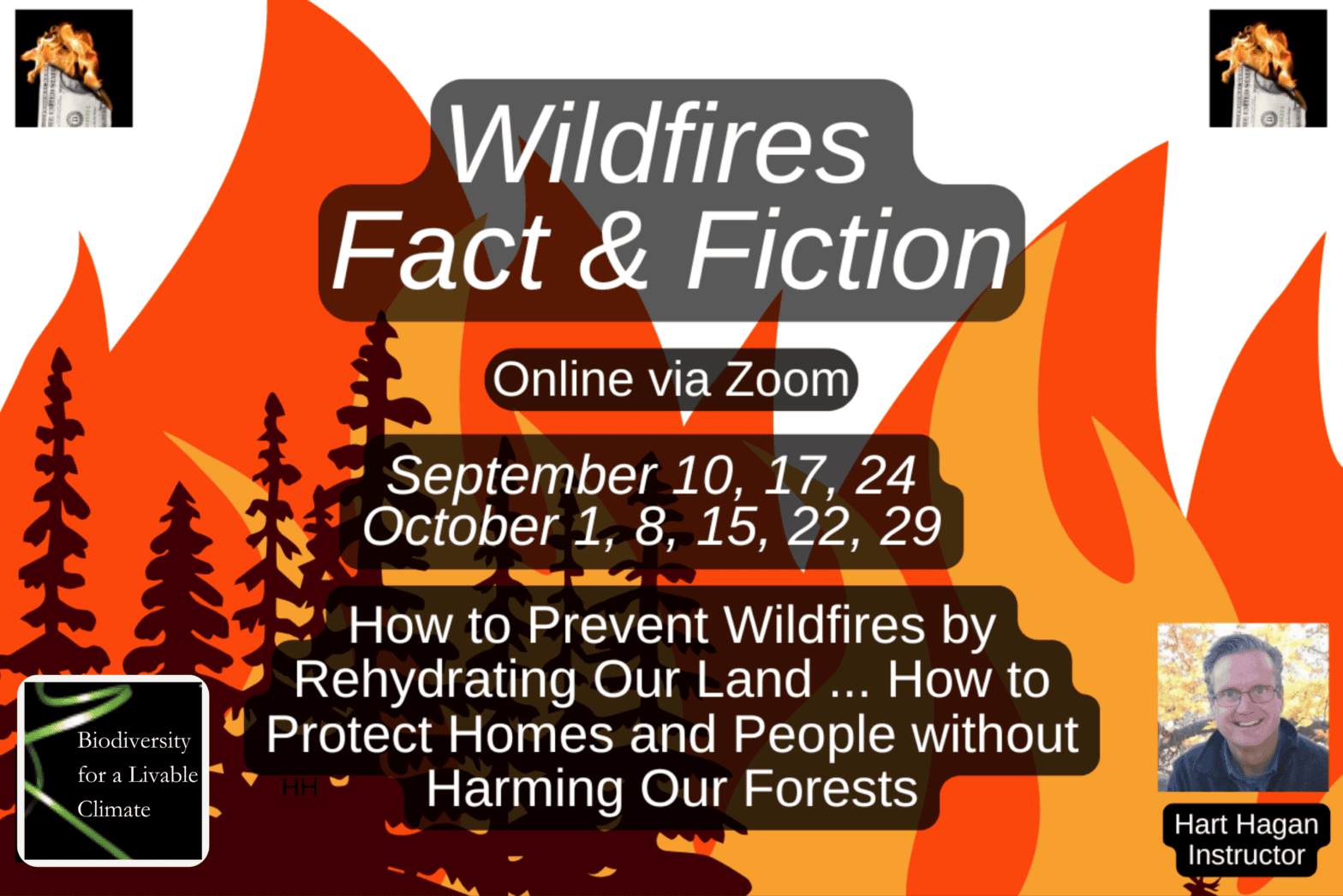 Wildfires Fact & Fiction