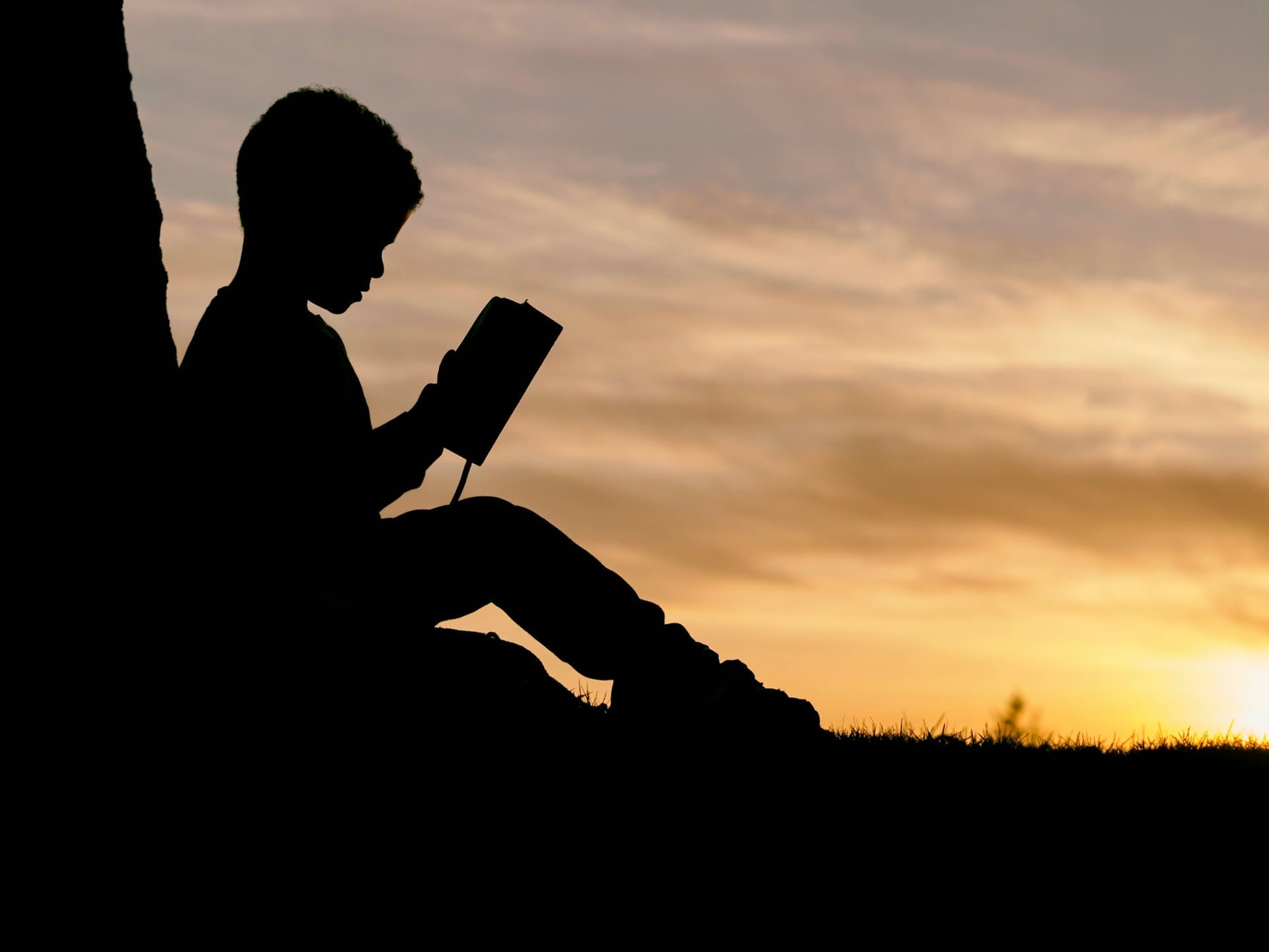 Kick off your Summer 2024 Reading List