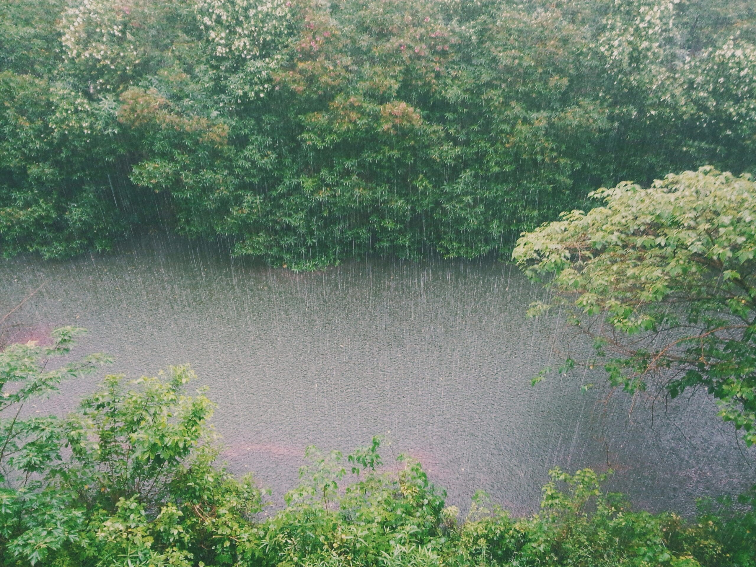 The Paradox of a Wetter but Drier World