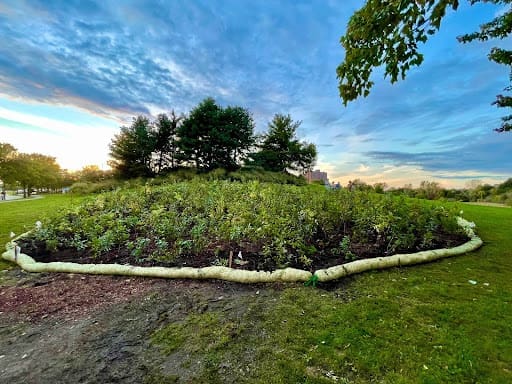Jim Laurie’s Class, Biodiversity 7: Rewilding Half the Earth to Create a Future We Want